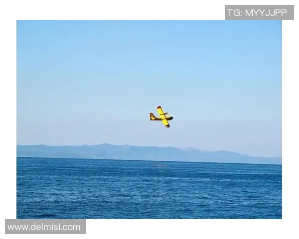 上海极限运动队逆风翻盘的背后故事与未来展望